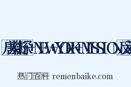 唐人街探偵+NEW+YORK+MISSION反义词是什么意思的图片